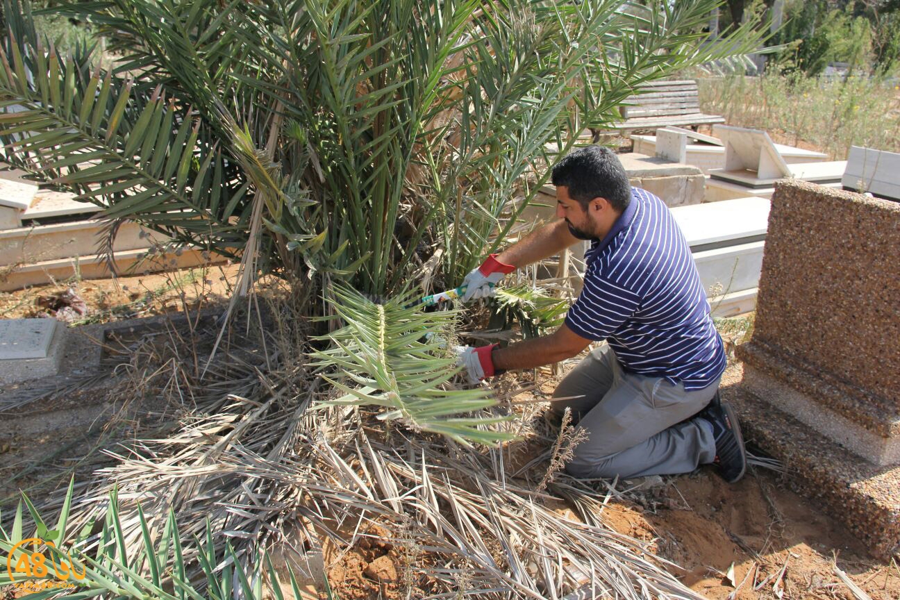 lajna ekram j83 (20).jpg